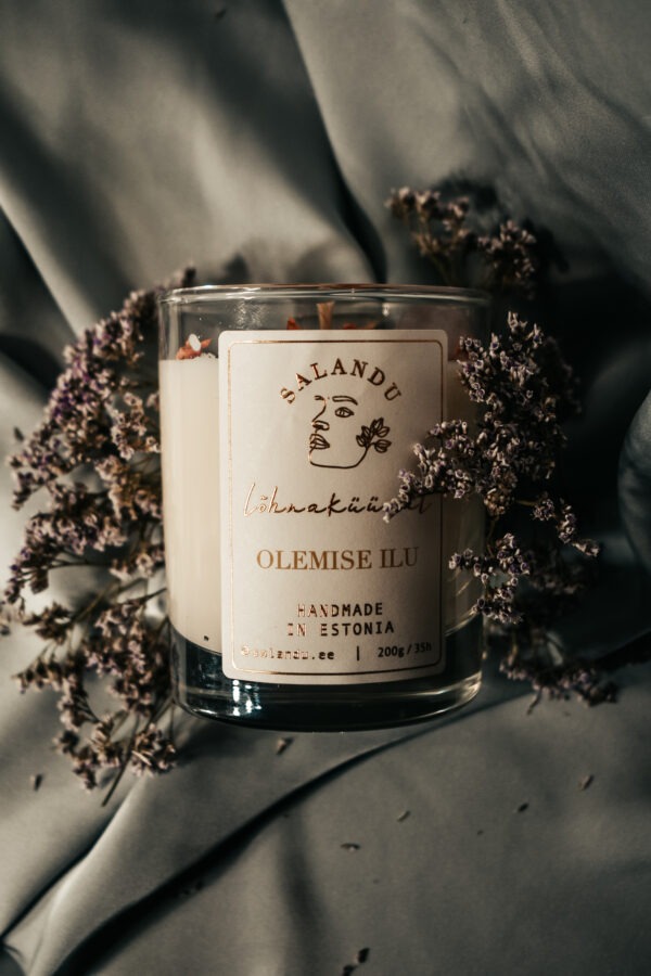 Olemise Ilu